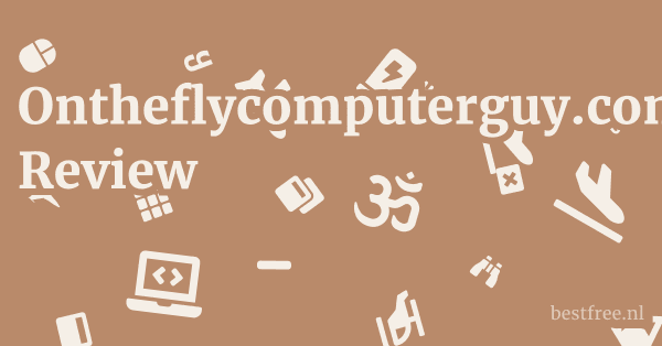 Ontheflycomputerguy.com Review 1 by BestFREE.nl