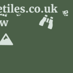 Onthetiles.co.uk Review 11 by BestFREE.nl