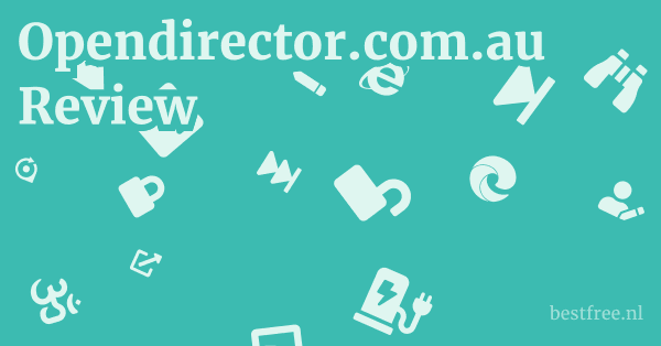 Opendirector.com.au Review 1 by BestFREE.nl