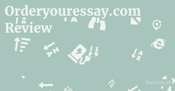 Orderyouressay.com Review 1 by BestFREE.nl