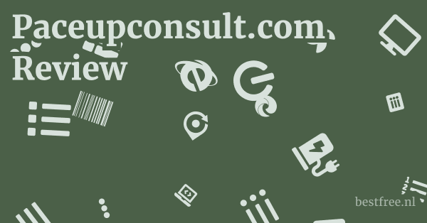 Paceupconsult.com Review 1 by BestFREE.nl