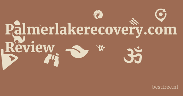 Palmerlakerecovery.com Review 1 by BestFREE.nl