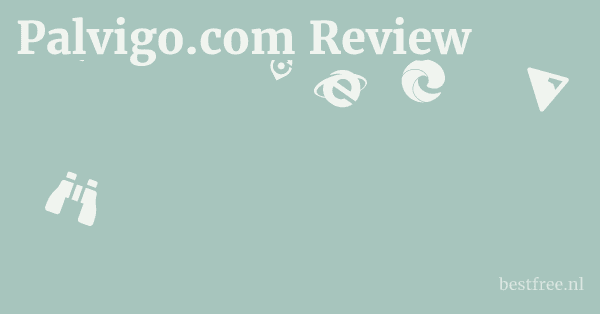 Palvigo.com Review 1 by BestFREE.nl