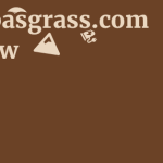 Pampasgrass.com Review 13 by BestFREE.nl