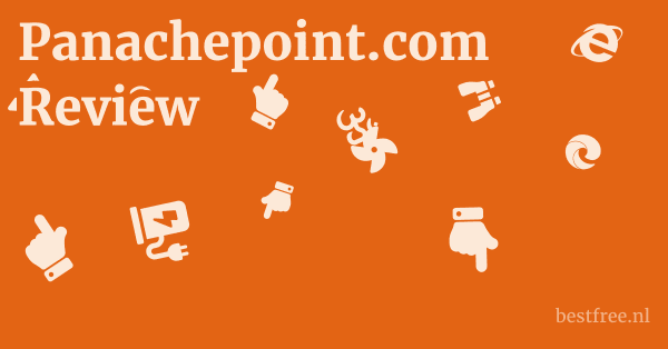 Panachepoint.com Review 1 by BestFREE.nl