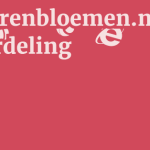 Papierenbloemen.nl Beoordeling 13 by BestFREE.nl