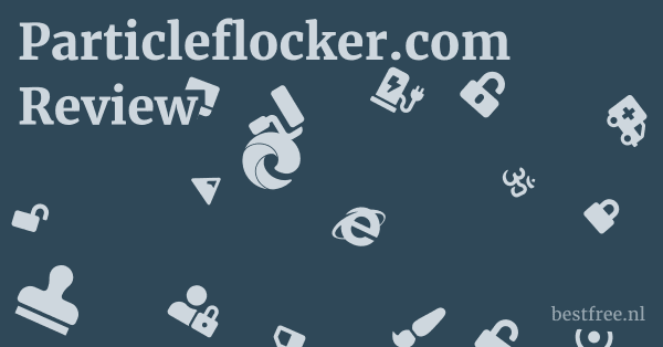 Particleflocker.com Review 1 by BestFREE.nl
