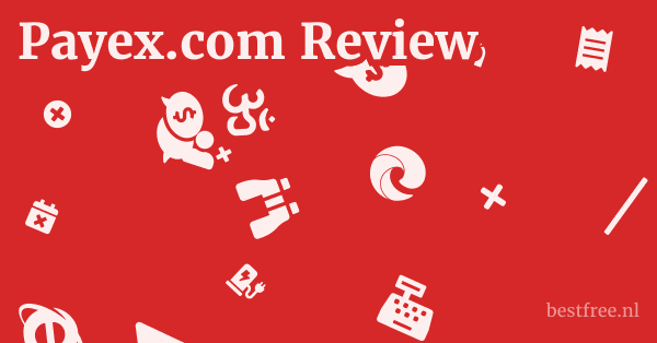 Payex.com Review 1 by BestFREE.nl