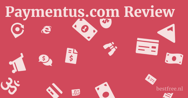 Paymentus.com Review 1 by BestFREE.nl