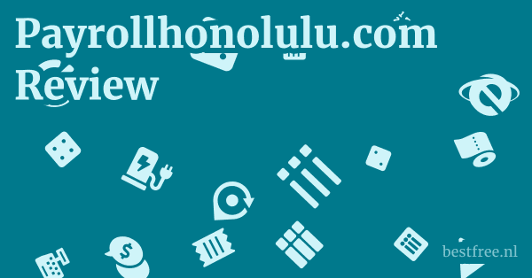 Payrollhonolulu.com Review 1 by BestFREE.nl