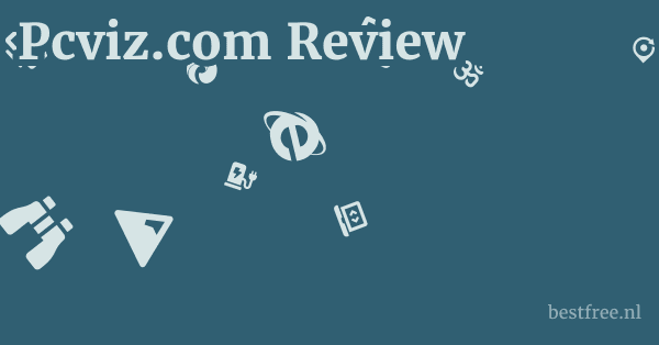 Pcviz.com Review 1 by BestFREE.nl