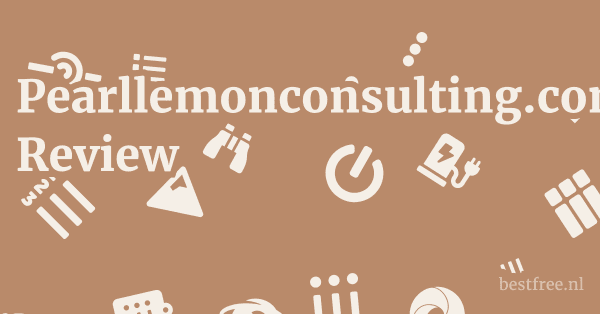 Pearllemonconsulting.com Review 1 by BestFREE.nl