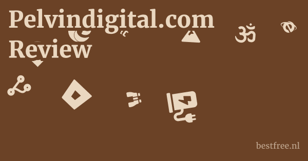 Pelvindigital.com Review 1 by BestFREE.nl