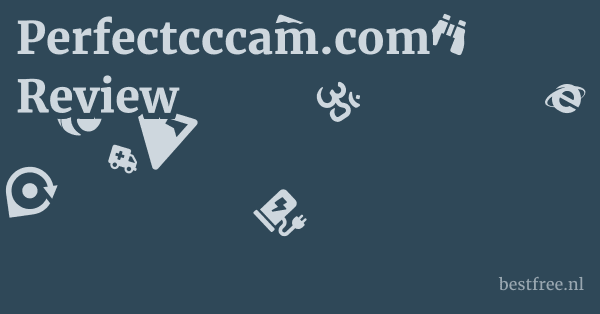 Perfectcccam.com Review 1 by BestFREE.nl