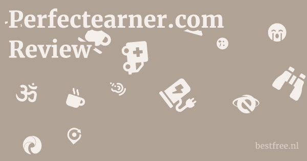 Perfectearner.com Review 1 by BestFREE.nl