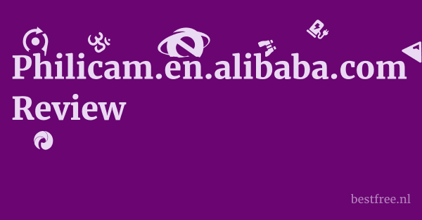 Philicam.en.alibaba.com Review 1 by BestFREE.nl