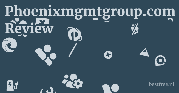 Phoenixmgmtgroup.com Review 1 by BestFREE.nl