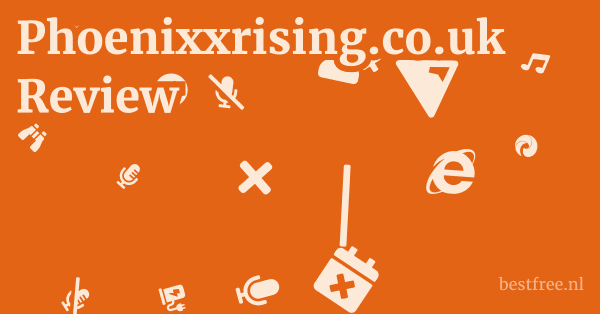 Phoenixxrising.co.uk Review 1 by BestFREE.nl