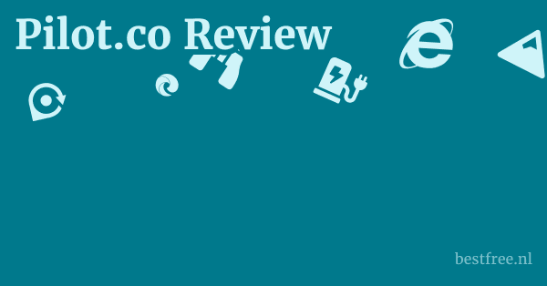 Pilot.co Review 1 by BestFREE.nl