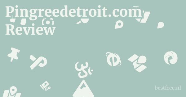 Pingreedetroit.com Review 1 by BestFREE.nl