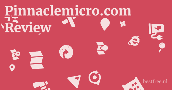 Pinnaclemicro.com Review 1 by BestFREE.nl