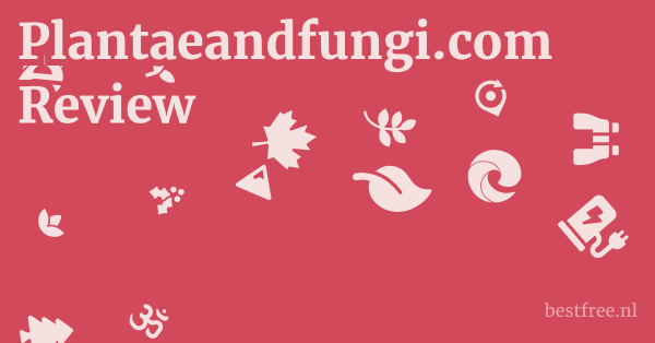 Plantaeandfungi.com Review 1 by BestFREE.nl