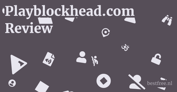 Playblockhead.com Review 1 by BestFREE.nl