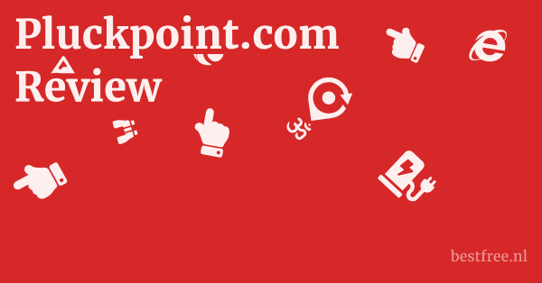 Pluckpoint.com Review 1 by BestFREE.nl
