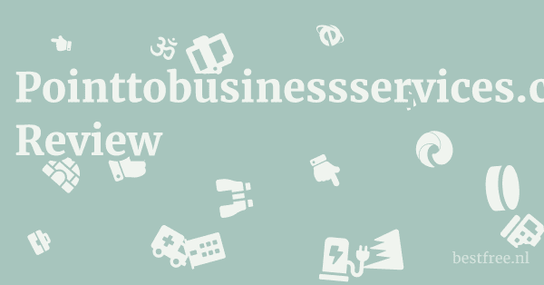 Pointtobusinessservices.com Review 1 by BestFREE.nl