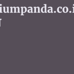 Premiumpanda.co.in समीक्षा 5 by BestFREE.nl