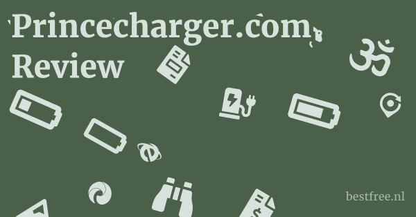 Princecharger.com Review 1 by BestFREE.nl