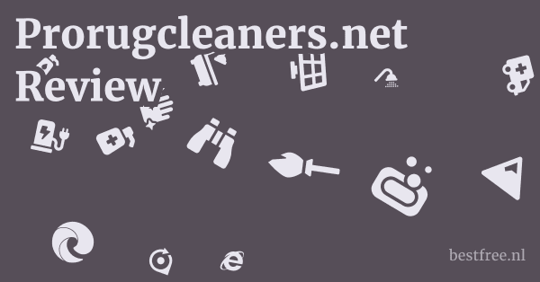 Prorugcleaners.net Review 1 by BestFREE.nl
