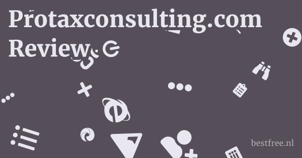 Protaxconsulting.com Review 1 by BestFREE.nl