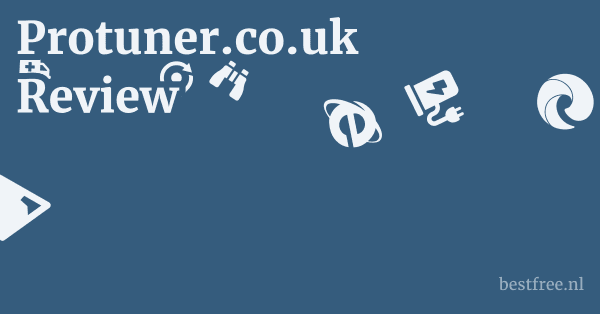 Protuner.co.uk Review 1 by BestFREE.nl