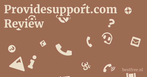 Providesupport.com Review 1 by BestFREE.nl