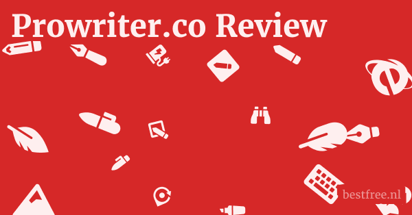 Prowriter.co Review 1 by BestFREE.nl