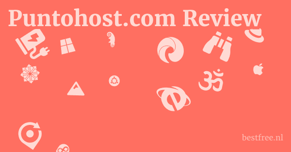 Puntohost.com Review 1 by BestFREE.nl
