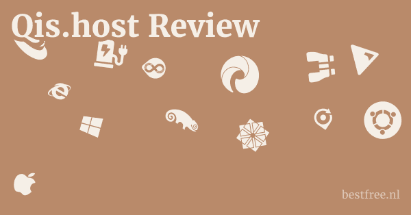 Qis.host Review 1 by BestFREE.nl
