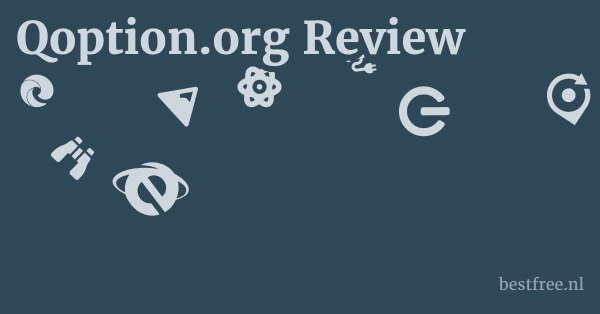 Qoption.org Review 1 by BestFREE.nl