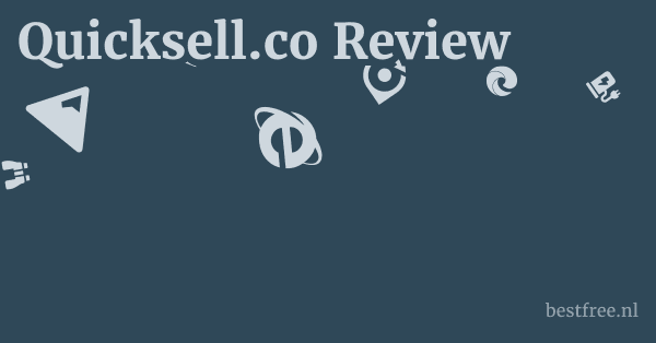 Quicksell.co Review 1 by BestFREE.nl