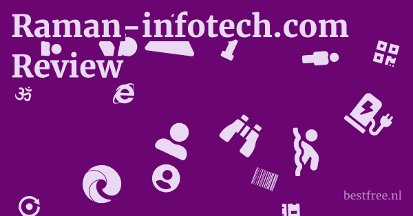Raman-infotech.com Review 1 by BestFREE.nl