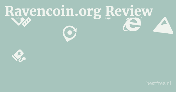 Ravencoin.org Review 1 by BestFREE.nl