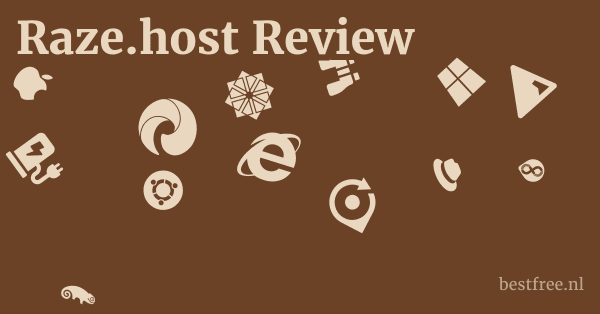 Raze.host Review 1 by BestFREE.nl