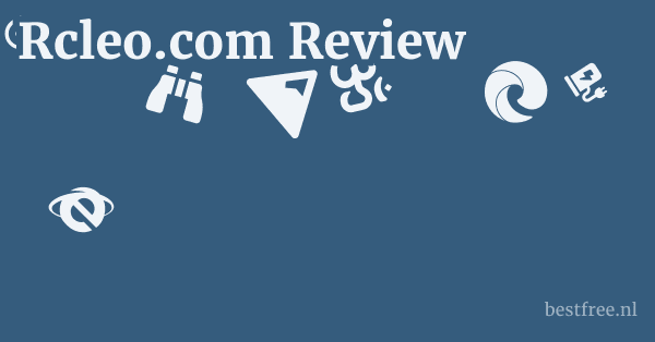Rcleo.com Review 1 by BestFREE.nl