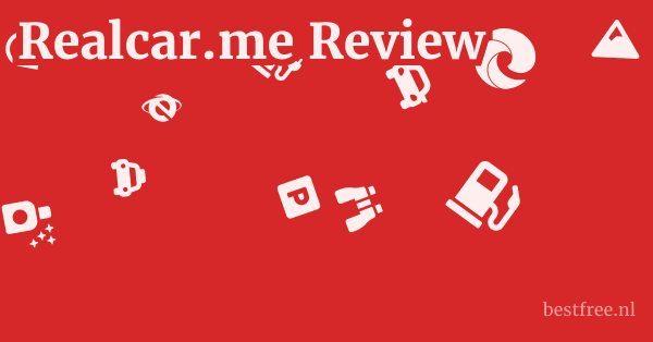 Realcar.me Review 1 by BestFREE.nl