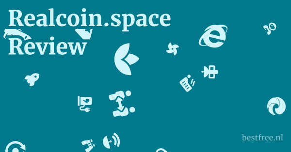 Realcoin.space Review 1 by BestFREE.nl