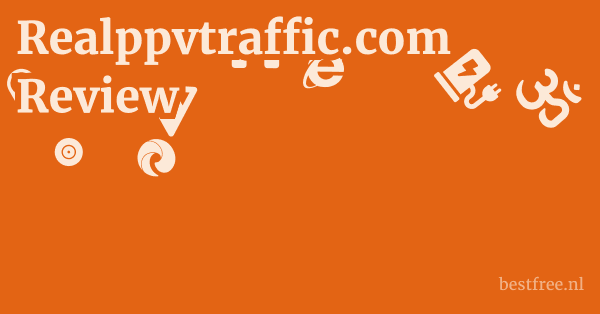 Realppvtraffic.com Review 1 by BestFREE.nl