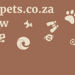 Rebelpets.co.za Review 5 by BestFREE.nl