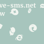 Receive-sms.net Review 21 by BestFREE.nl