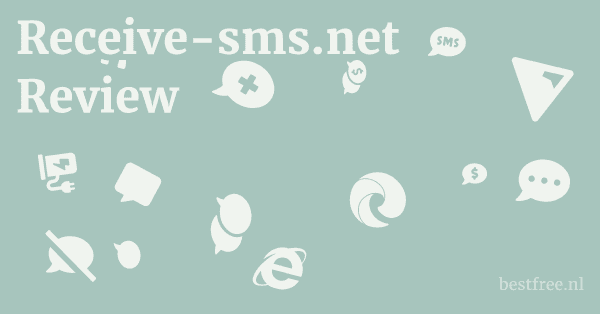 Receive-sms.net Review 1 by BestFREE.nl